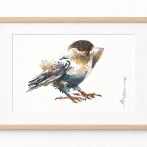 The Owl Series by Bappa Bhowmick