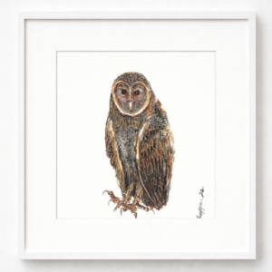 The Owl series by Bappa Bhowmick